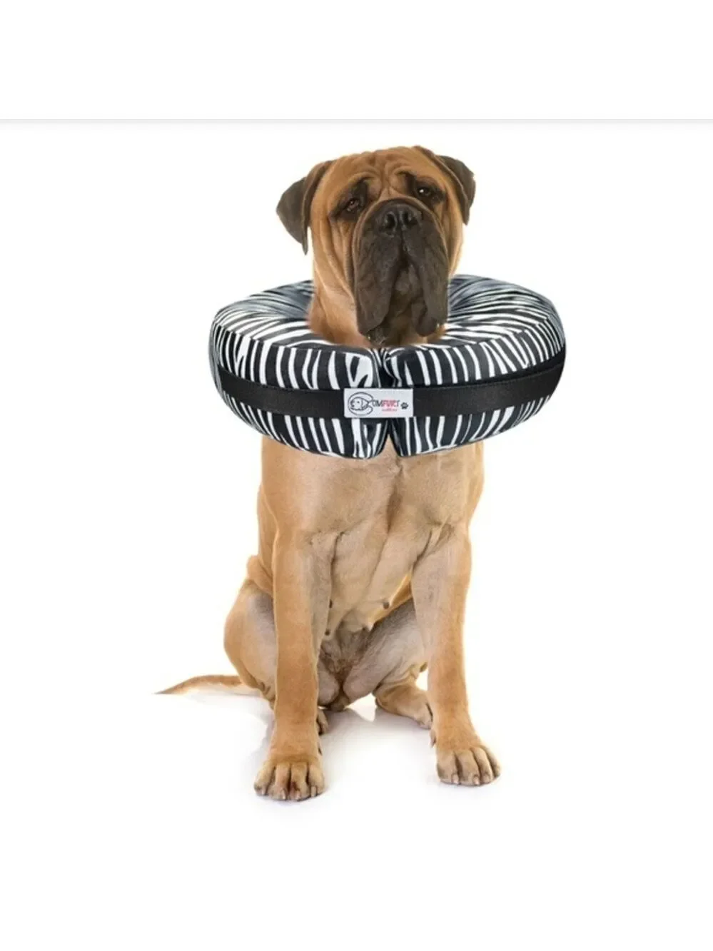 🎉HP🎉Comfurt Pet Recovery Collar in Zebra XL